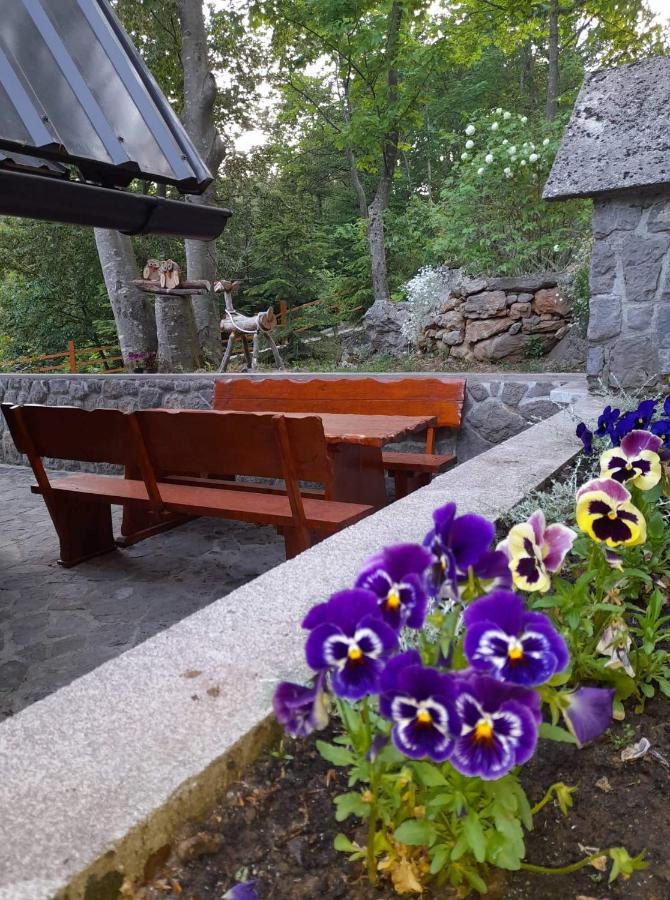Villa Kuca Za Odmor "Med Strmci" à Zlobin Extérieur photo